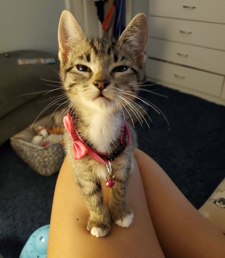 d25ee059b586a7401483be2913