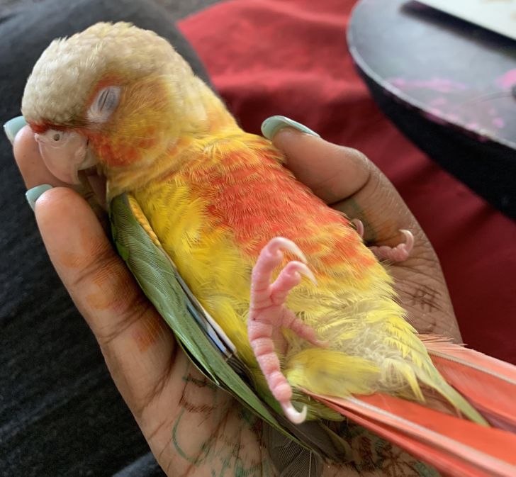 d26287588c9f8fd4261f7ce79b