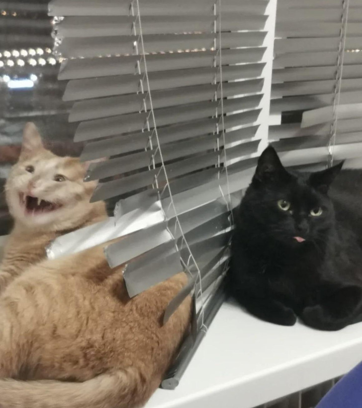 d2642f5792bb1b7f8be736a20c d2642f5792bb1b7f8be736a20c