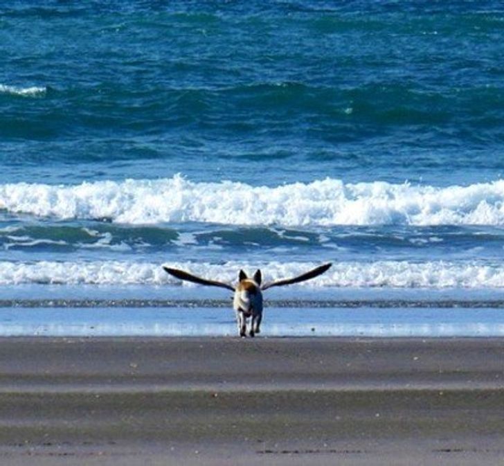 d27504521b9e0784f9f72de016