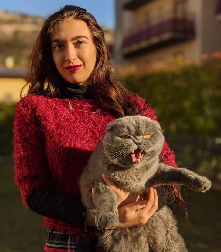 d27b135560a90fc11d1f5c331d