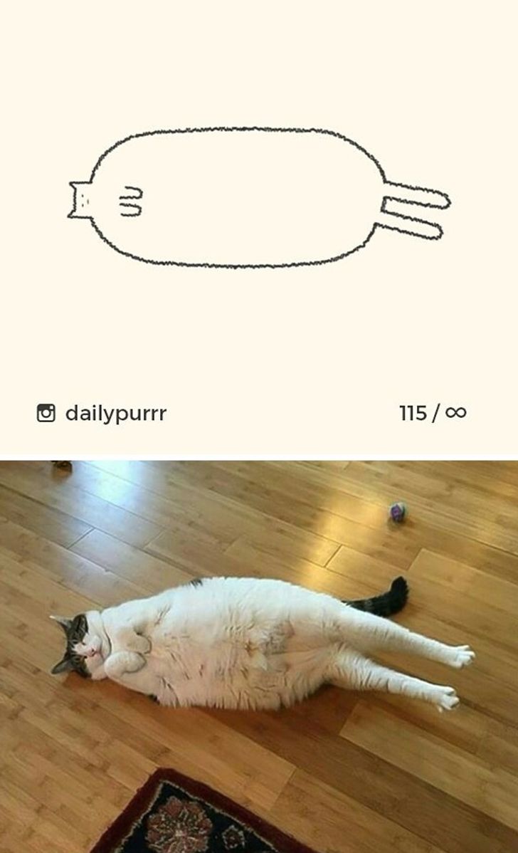 d2891f5d33b48e47fbebe18c85