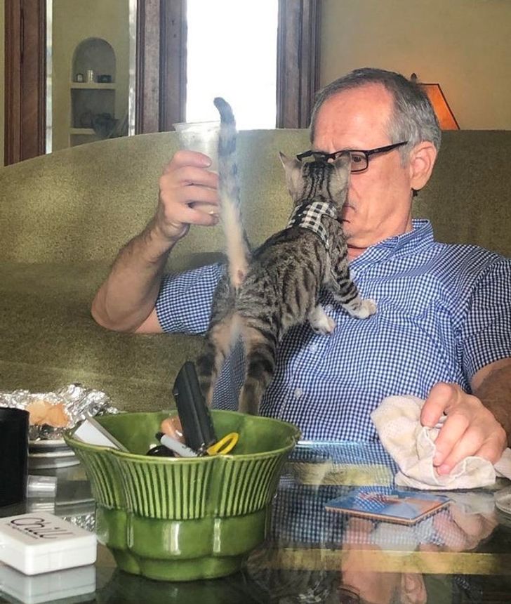 d28cd65748a9e7559ff614161d