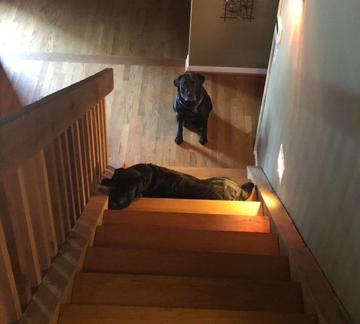 d28d9c50af877b81f0efae6aab