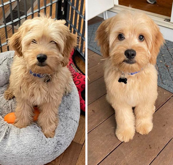 d28ea25475bc334a2b616ae4cd d28ea25475bc334a2b616ae4cd