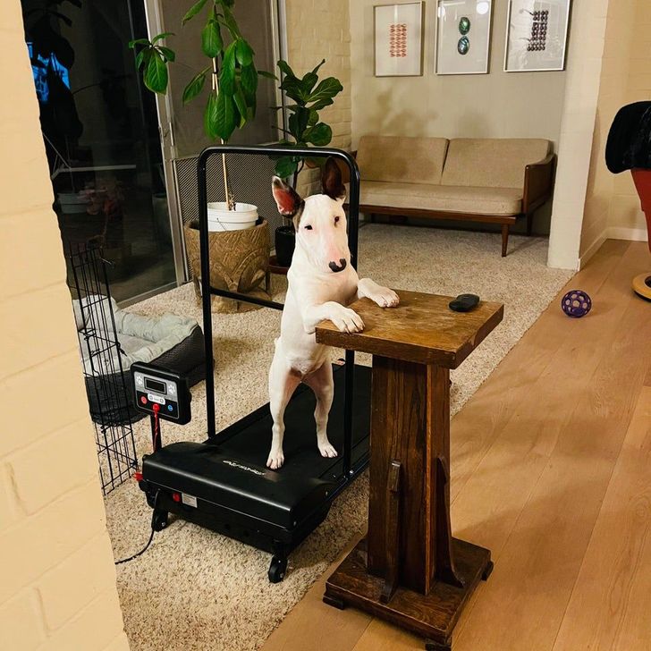 d292a75c8b9b7724e899906e04