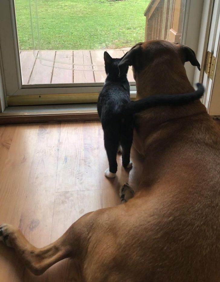 d293245662acc828f30371b97a