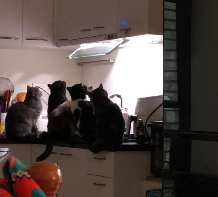 d2985b5630b9f486f2d7376600