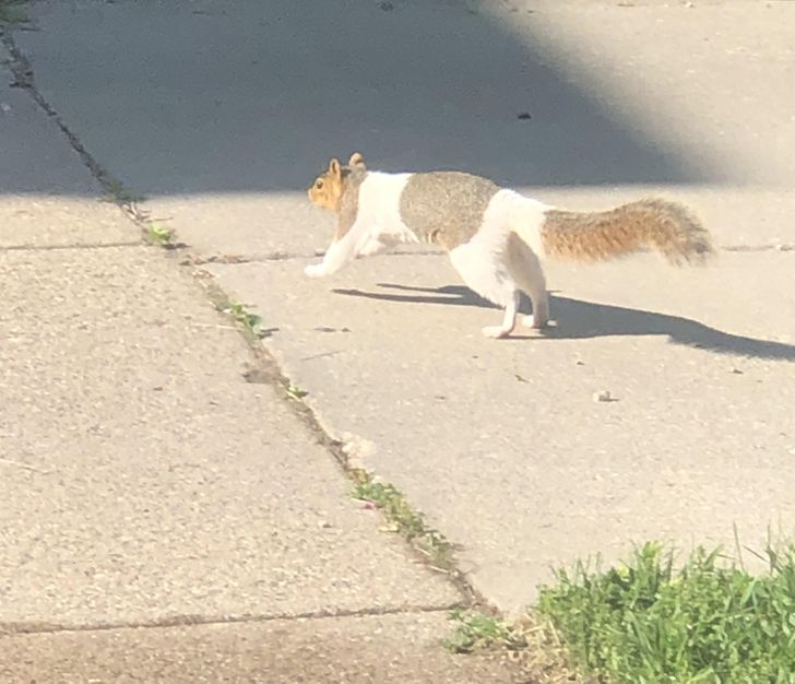 d29a5e5d5782bf9dfa4d2e8382