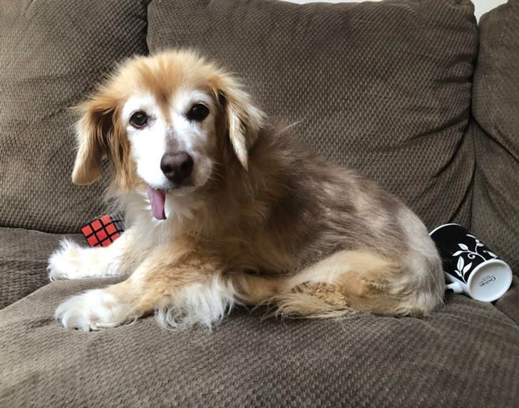 d29afc5c488e0318a089806b16