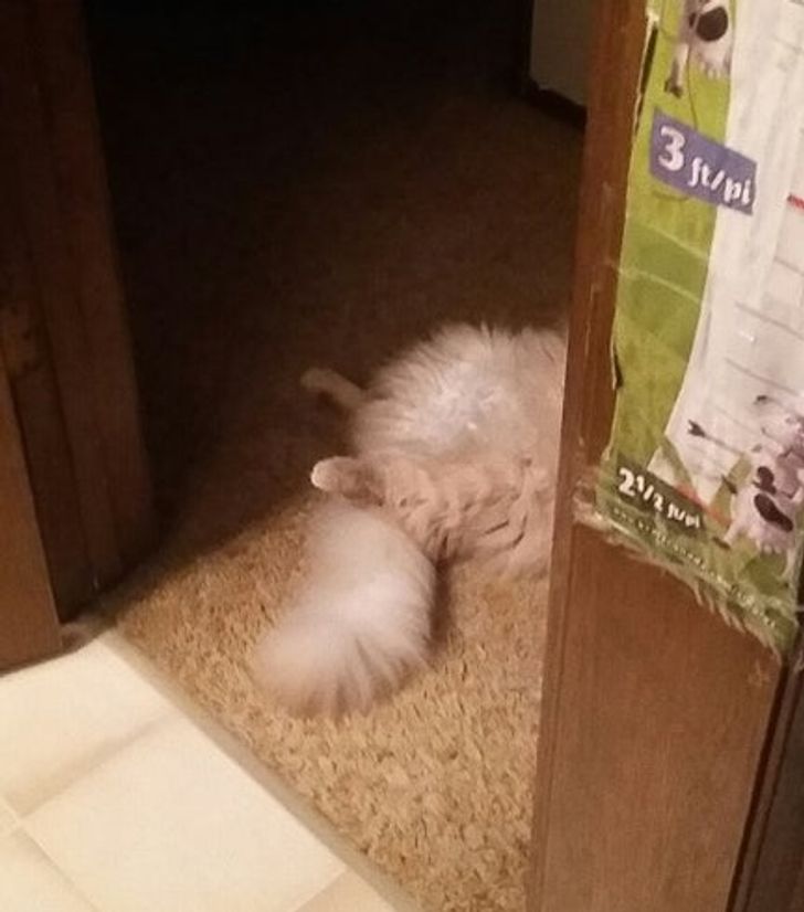 d2a9d3582fb00054b9db46ca1a