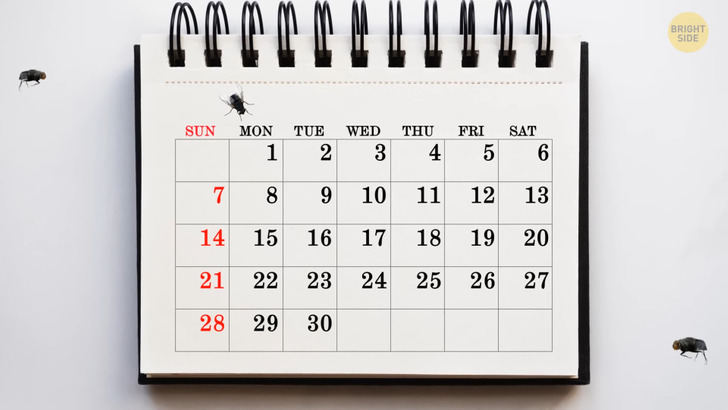 d2aaf75b69b32071c6802e0469 d2aaf75b69b32071c6802e0469