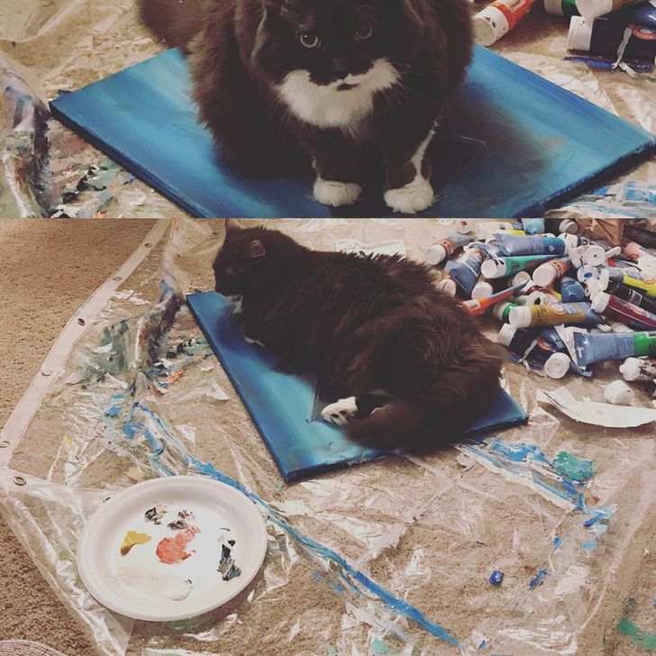 d2b59c5bf4a9e56dc86947a9cb