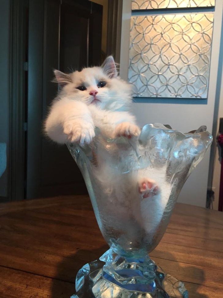 d2b8685e24918fb6ea1f818f87