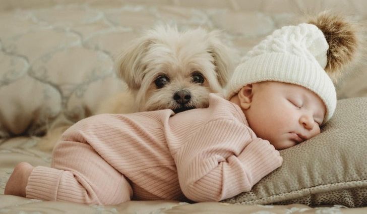 d2c8635023b909e85d83e716b0