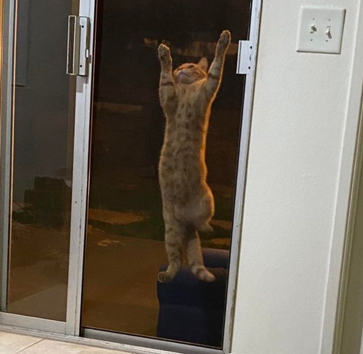 d2c9f255eeacef18075b6c1a07