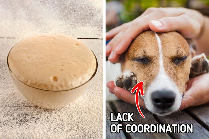 d2cbb153e3b75154ec3badaee2