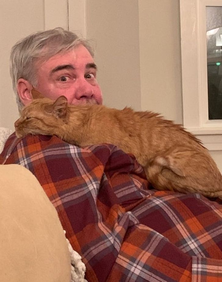 d2d1875c5691af7c176cab5240