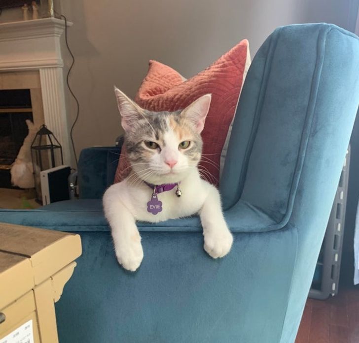 d2e09c538abb22fb9bdf95ed7c