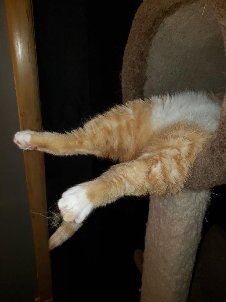 d2e2f55ba689a1492b78fa492e