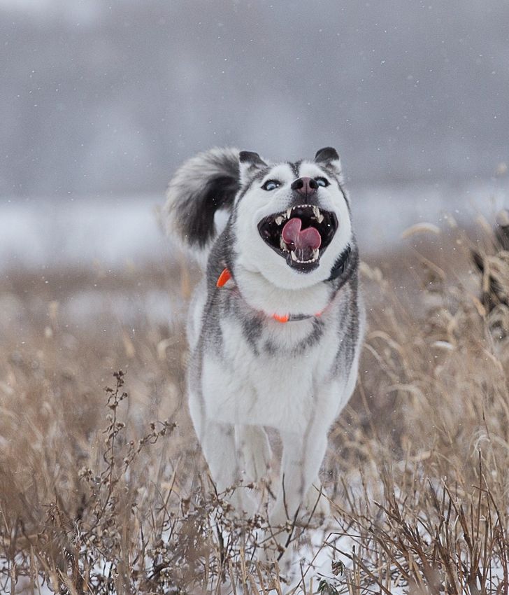 d2e53956d0ac03d66bd51ca032