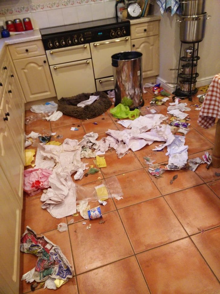 d2f22e5ecb8f7db270f41d75b4