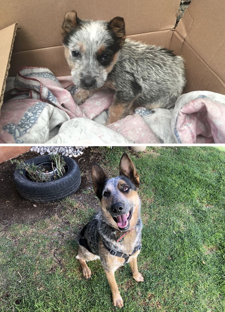 d2f3e8536b82575388dffe3850