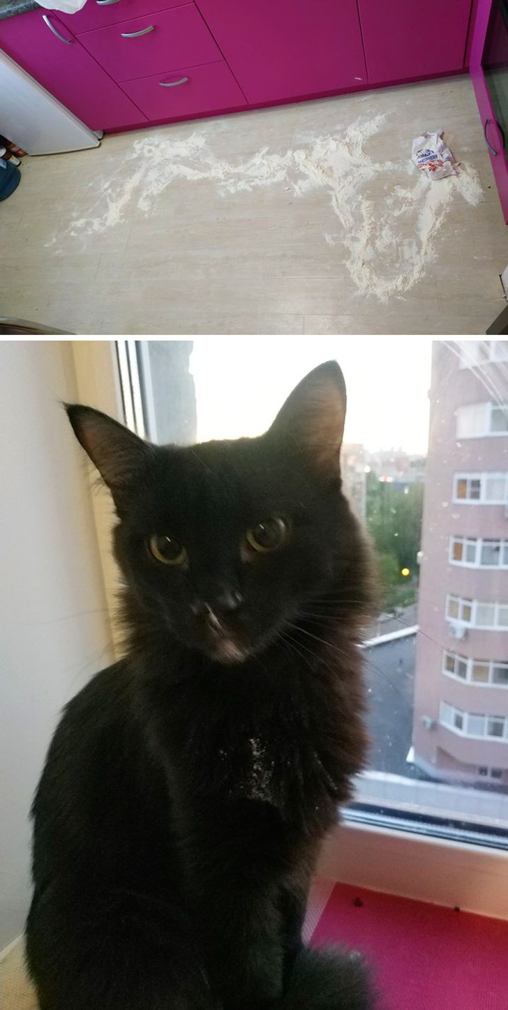 d2fe7b5dc093834b7f9406ea9c