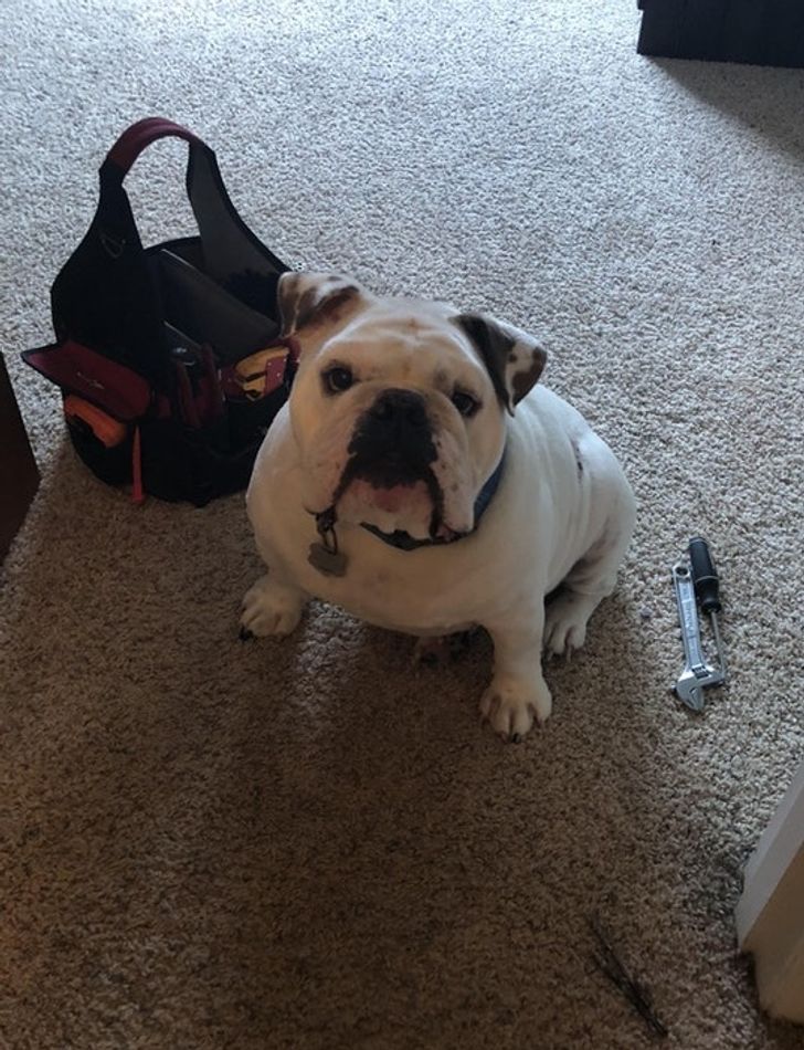 d307685ea8b355fa4dae9dea65 d307685ea8b355fa4dae9dea65