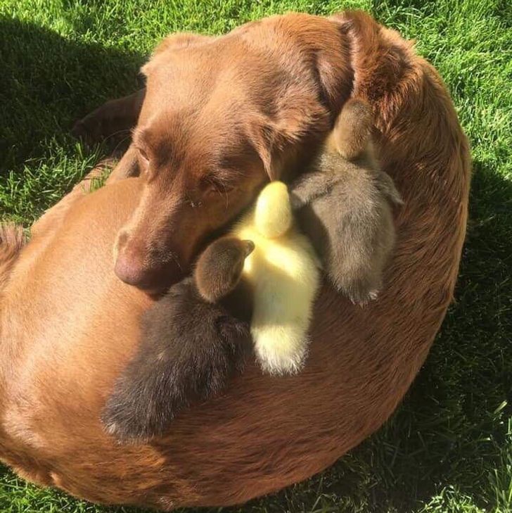 d3077a5e11859d6fc89c488342