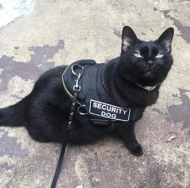 d3105c520b81a43da53a950a7c