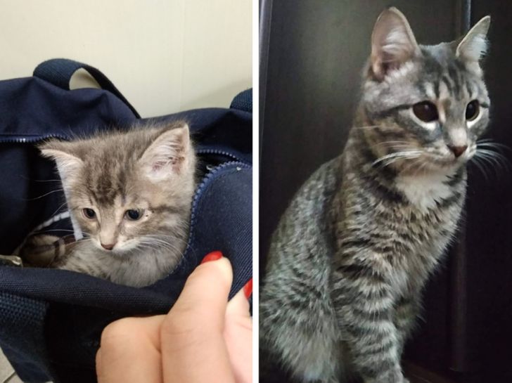 d315785608aef6ed1795c3d330