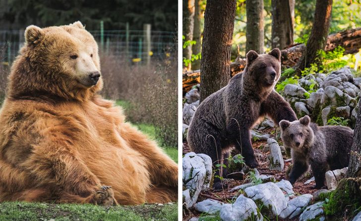 d316ec5889bd3b132856e05628