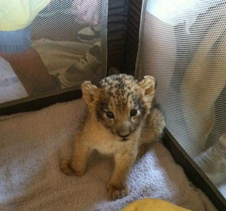 d317875ad2a2e128304461c73e