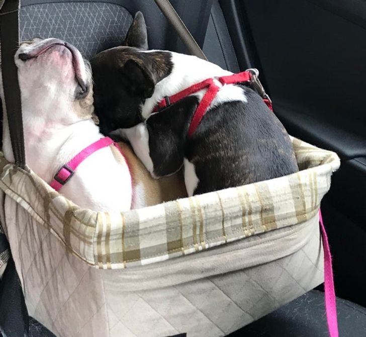 d31a405683b47c2174e2938702