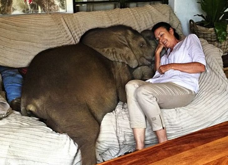 d31c5855db8dbd1d2d4248242a