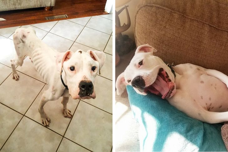 d31c8654b5a04d593206231db6