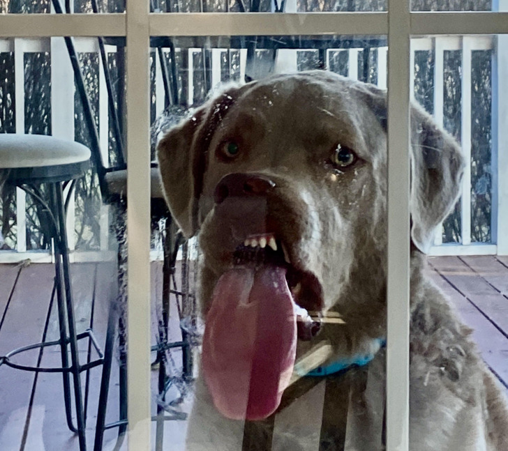 d31cdb55caba4acf3d9bf07108