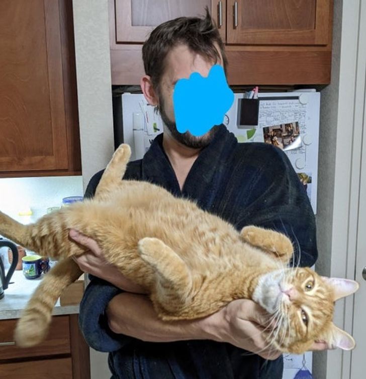 d31d6454fab97434229315c6a0