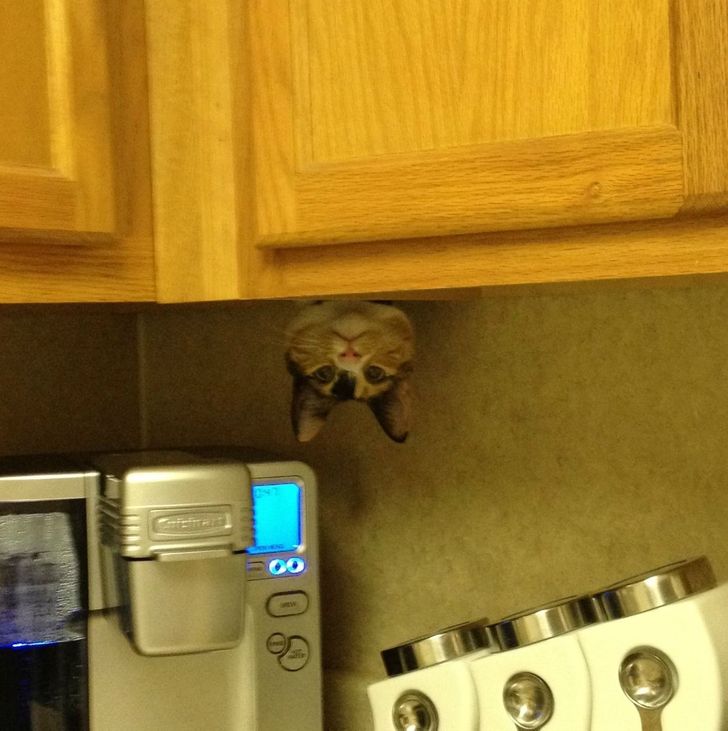 d32e0a523984863b81dc7e3e42