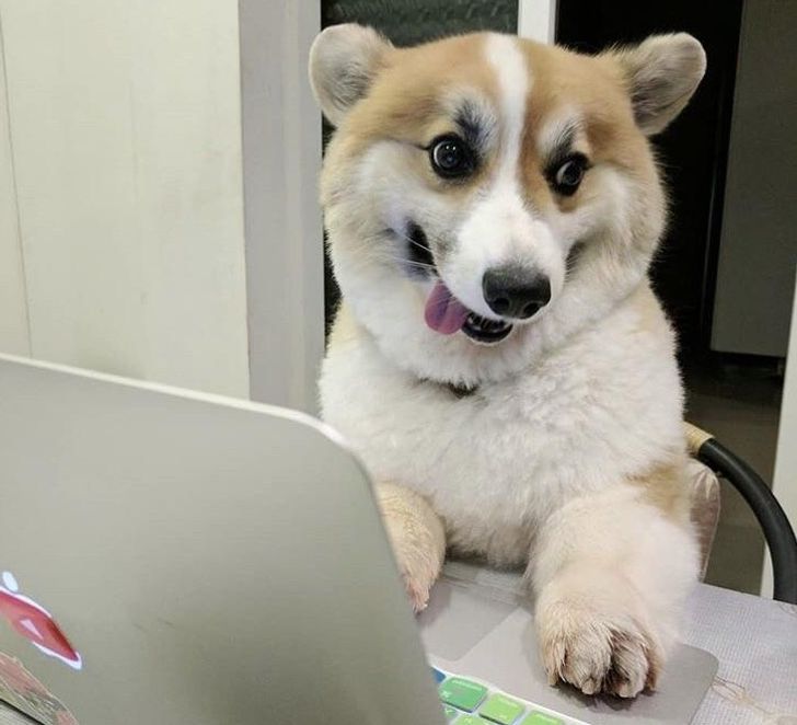 d335d45a50be8779feda3f81ec