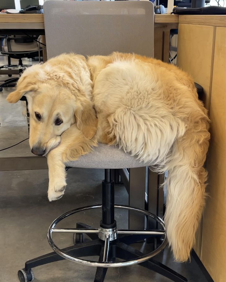 d33b6d5d948838fa197494f54b