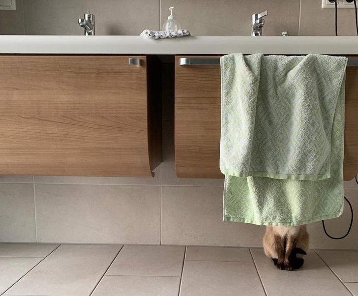 d33e4f55d2b572278e2c31ff44