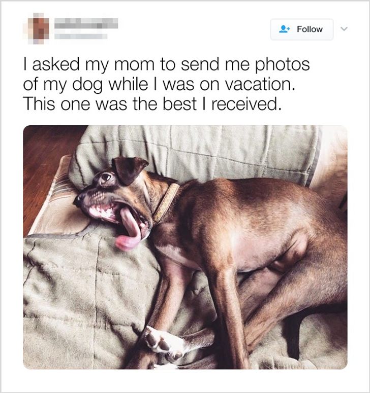 d33e5c5e7ca370cc8a31871850