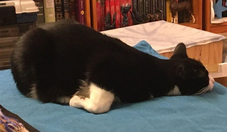 d3447b5d10b305d33cefef2a65