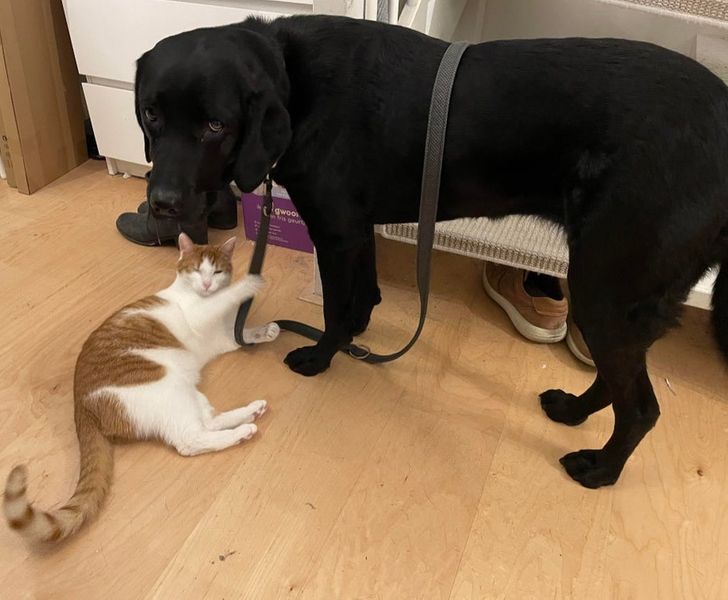 d3466f5157a932556df5503481