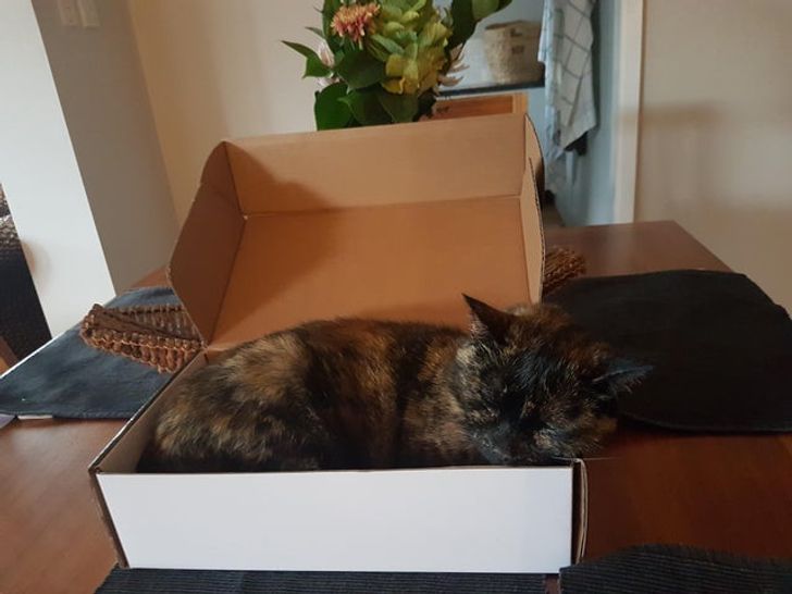 d34ae1512fa24299e75c1fb3b0