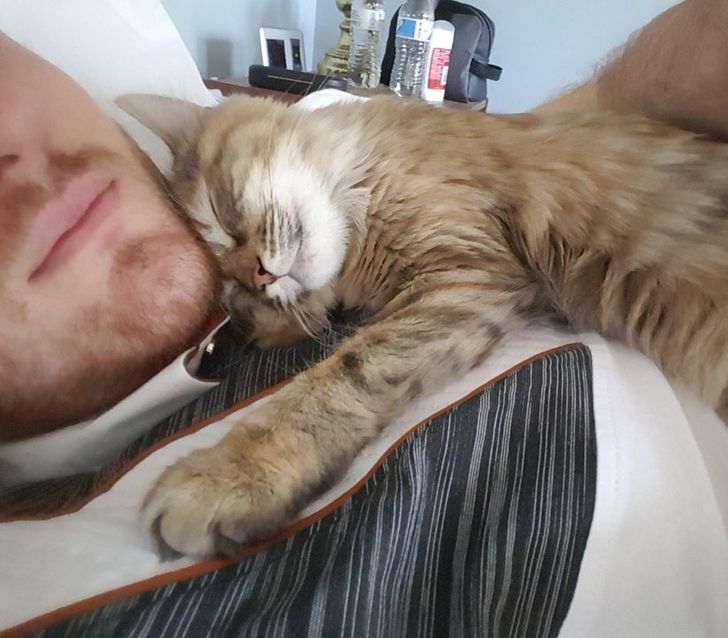 d34c5b58ea9d05fe326190255e