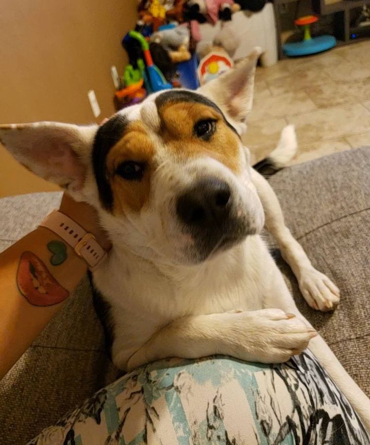 d34e565fbe9262b2bf8797e356