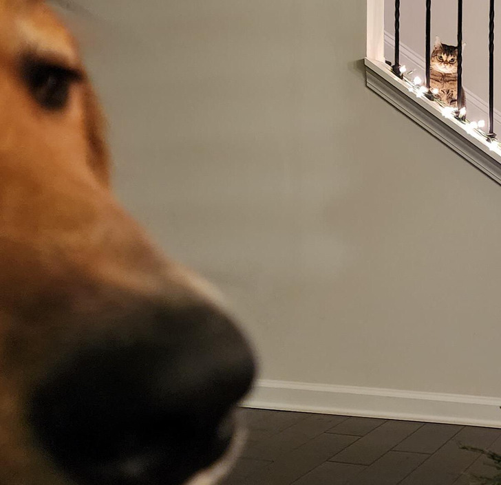 d34e875642b795659b6aae4c8e d34e875642b795659b6aae4c8e